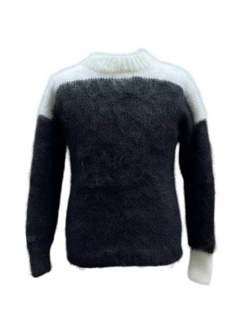 ファイル S2062-2.jpg